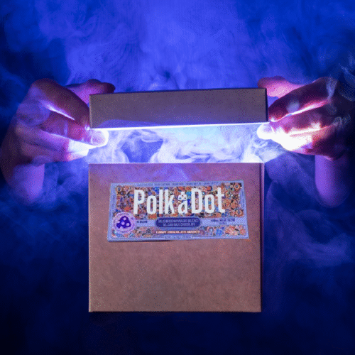 Mistery Box Loca -  POLK A DOT